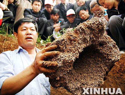 桂林市永华白蚁害虫防治有限公司